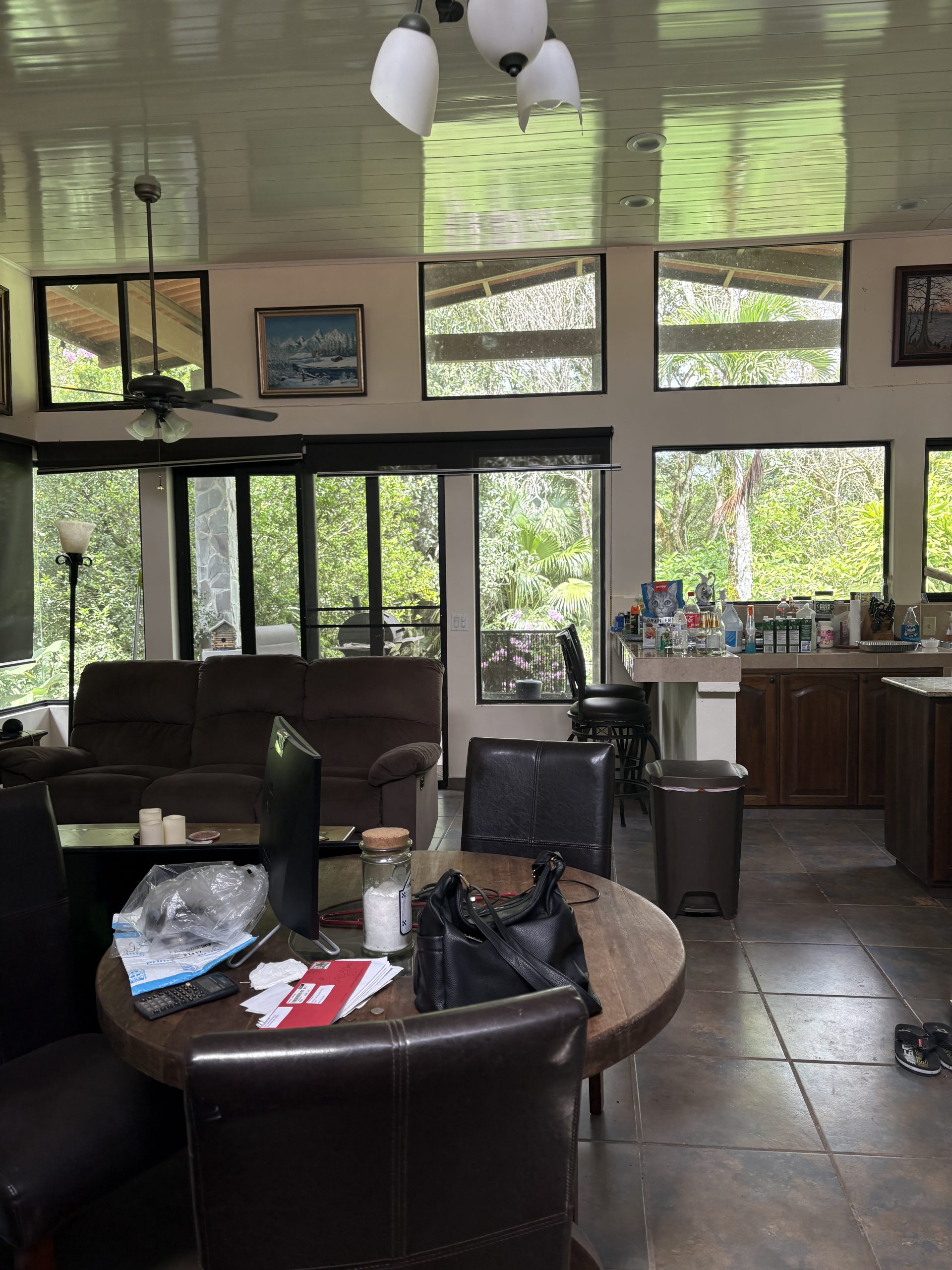 Sold by Casa Solution! Tropical Oasis Home for Sale in Potrerillos Abajo photo 2