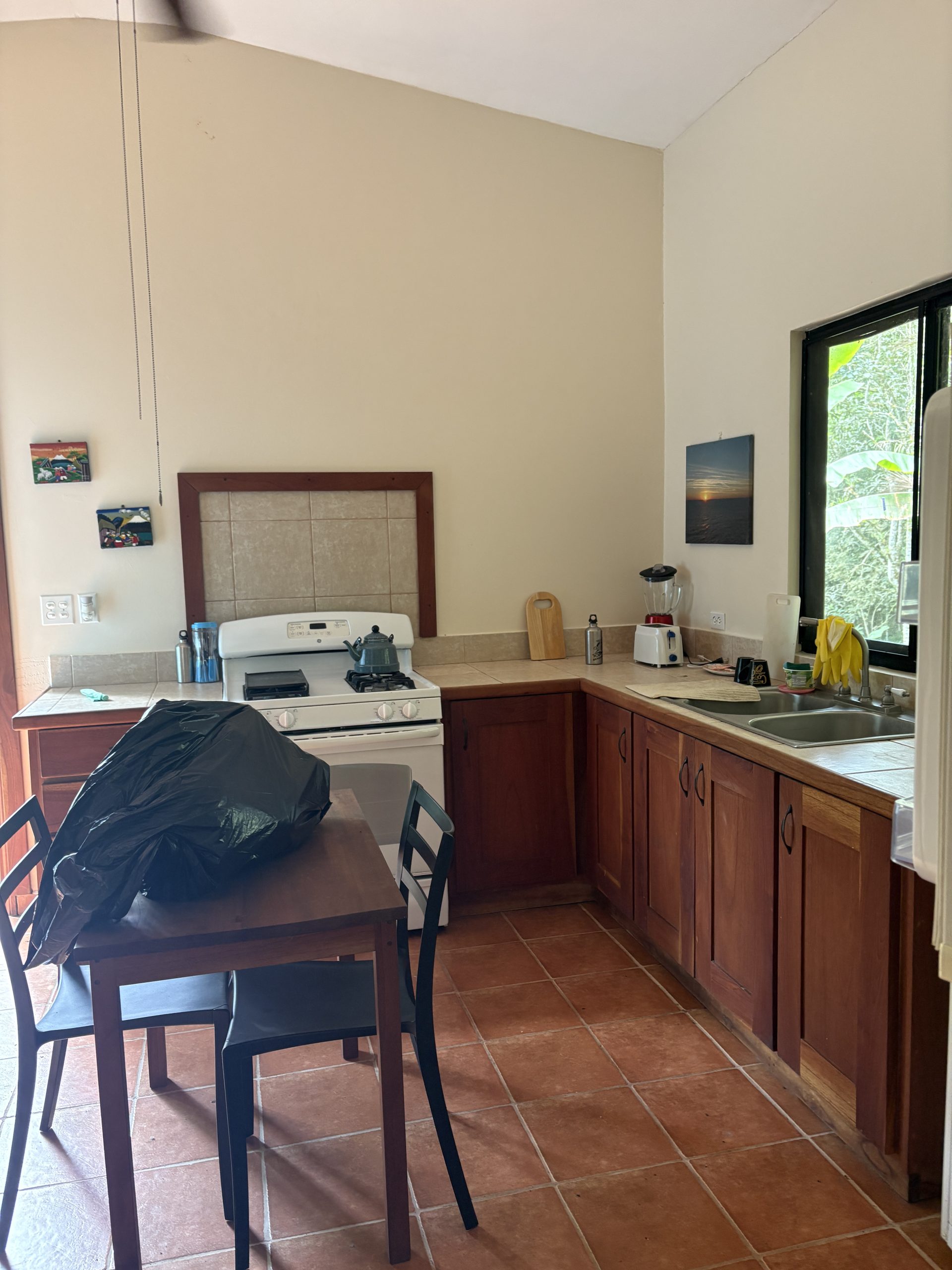 Sold by Casa Solution! Tropical Oasis Home for Sale in Potrerillos Abajo photo 6