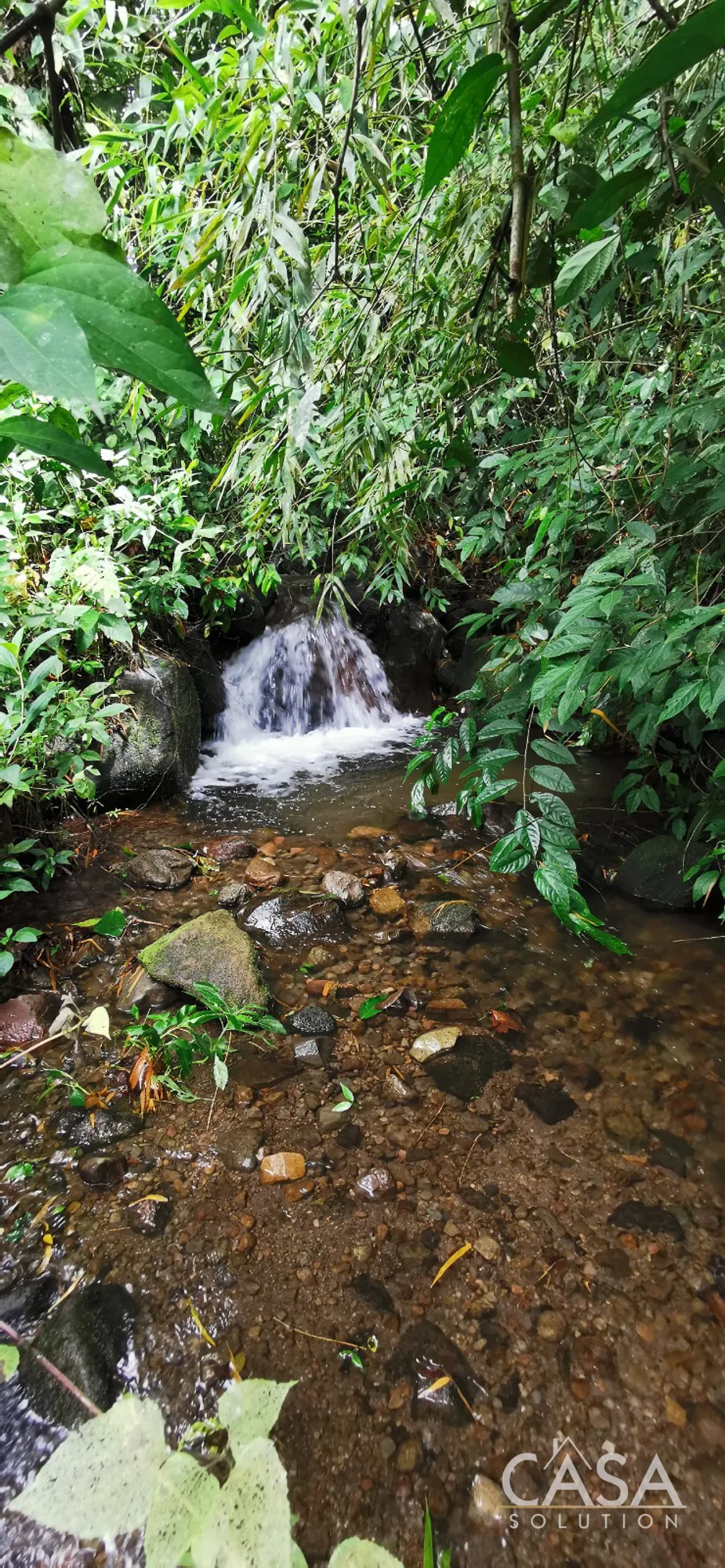 Contract Pending! 15-Hectare Self-Sufficient Home with Ocean Views, Waterfalls, and Development Potential for Sale in Caisán, Renacimiento, Chiriquí photo 8