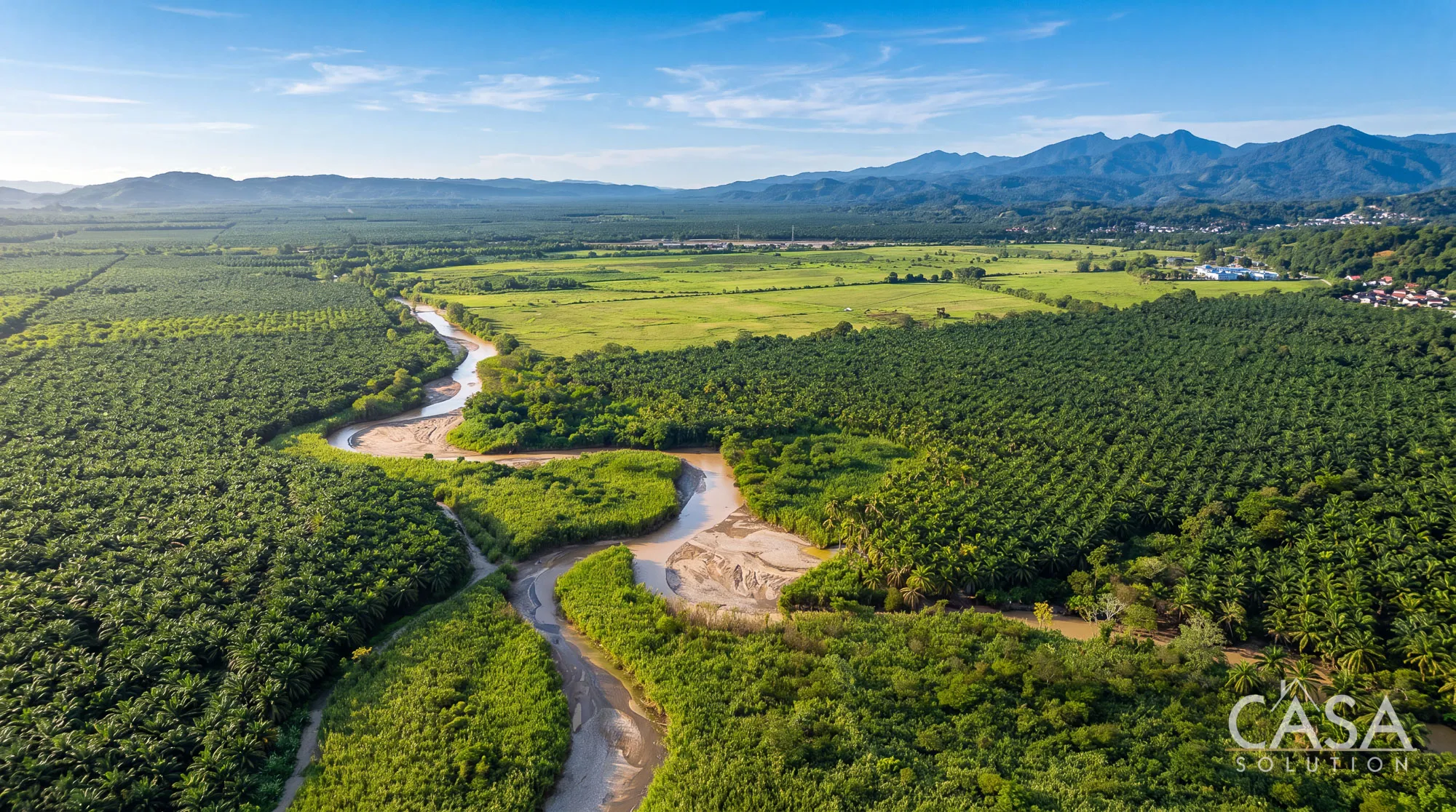 188.57-Hectare Investment Property for Sale in Ciudad Neily, Costa Rica – Highway Frontage & Oil Palm