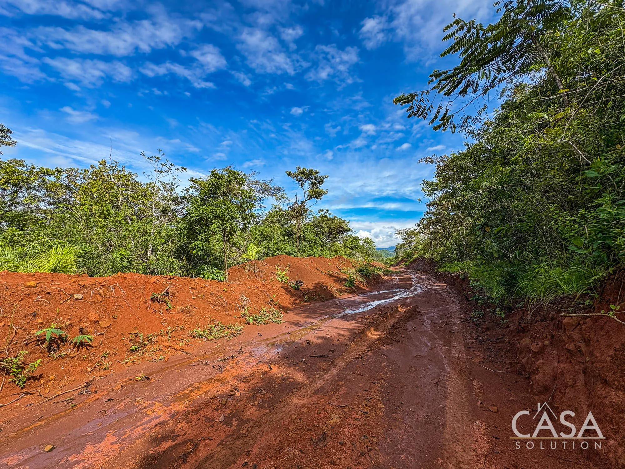 Sold by Casa Solution! Wooded 13.52-Acre Property with Natural Spring for Sale in Caldera, Boquete, Panama photo 8