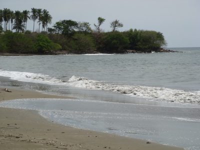 Incredible Beachfront Farm for Sale near Las Tablas in Playa El Estero – Gradual Slope to the Back – Ocean Views From Every Angle!