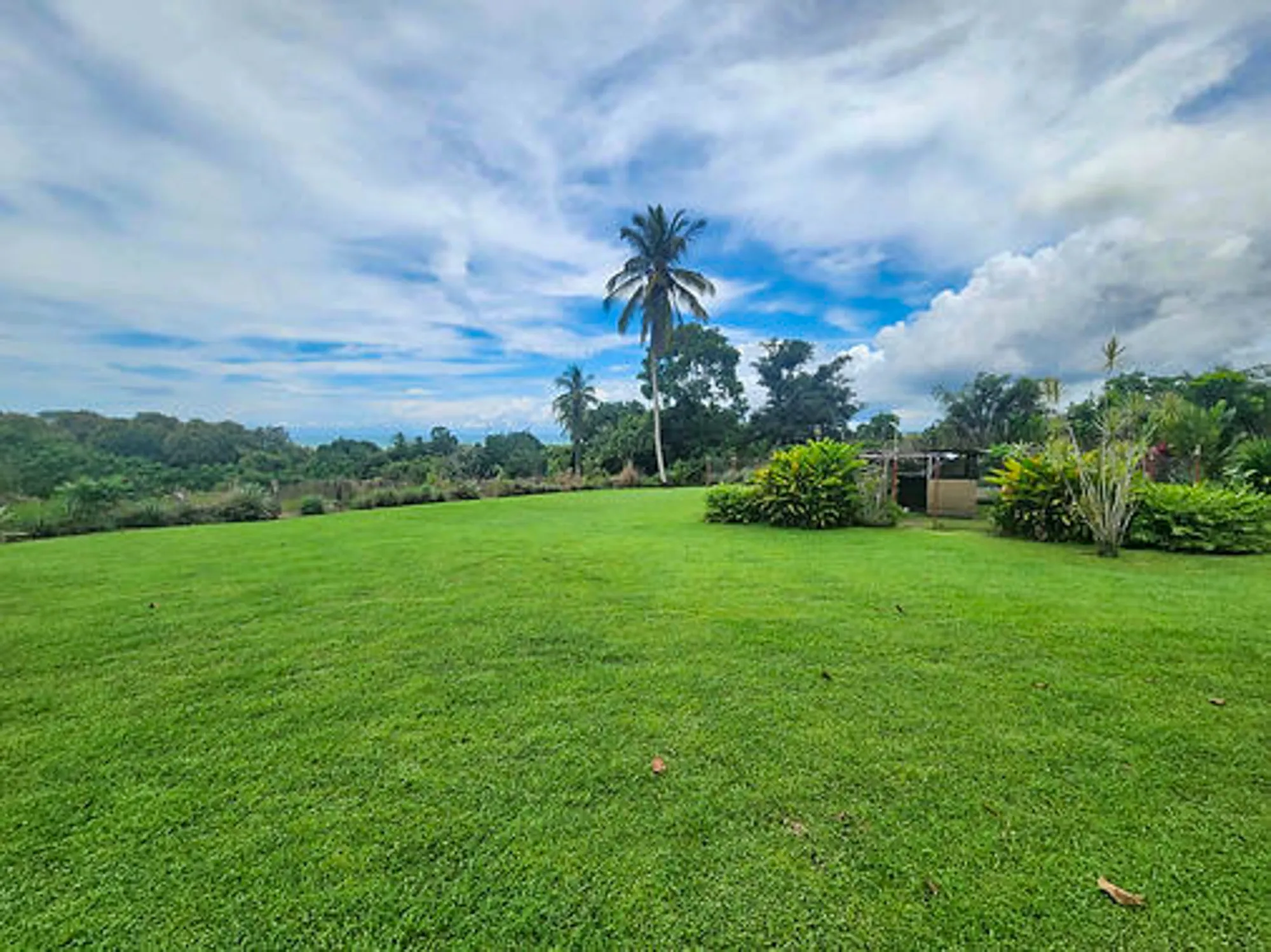 Ocean-View Property with Main House, Casita, Pool & Spacious Grounds in Las Palmas, Puerto Armuelles, Chiriquí photo 7