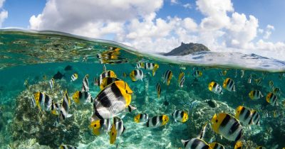 Jeff Bezos Backs Panama’s Oceans With $24.5M as the Country Deepens Its Environmental Push