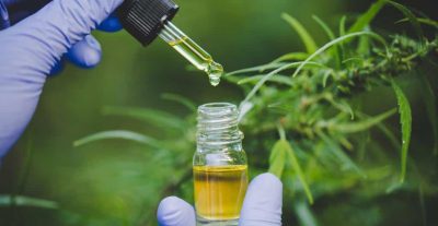 Panama to Begin Distribution of Medical Cannabis Products Through Authorized Pharmacies