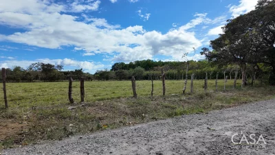 Prime Flat Land for Sale in Cochea Abajo, David, Chiriqui – Paved Road Frontage near David