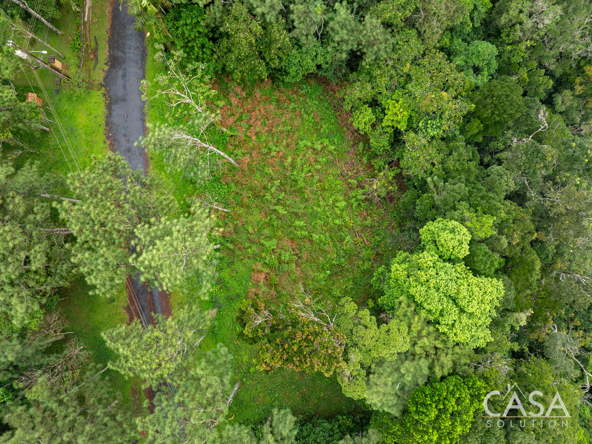 Mountain Residential Lot Surrounded by Nature in Cerro Azul Panama