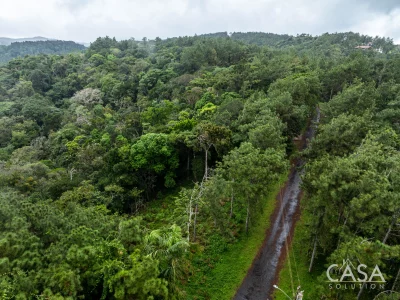 Mountain Residential Lot Surrounded by Nature in Cerro Azul Panama