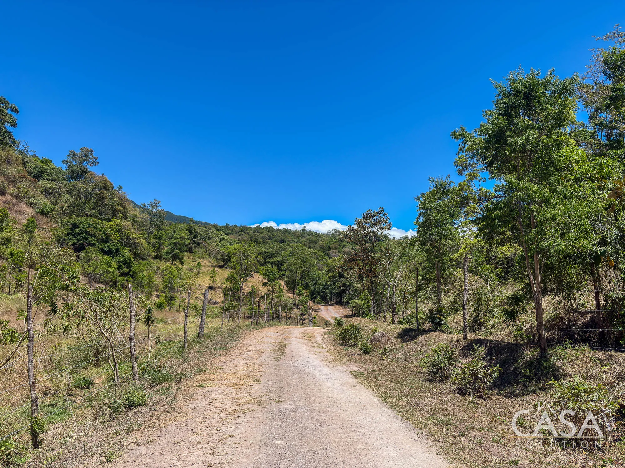 Mountain View Lot for Sale in Jaramillo Abajo – Via to Lucero, Boquete Panama photo 6