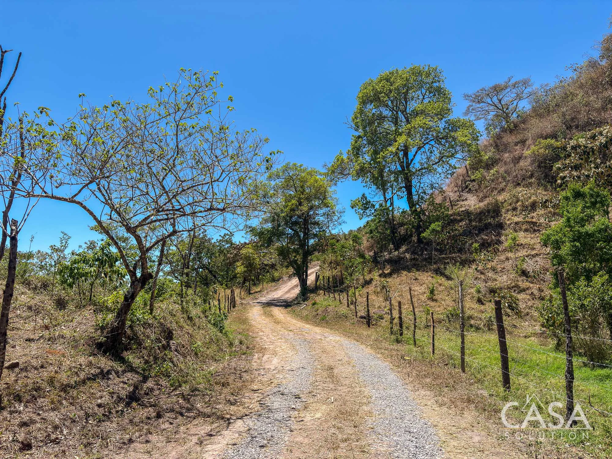 Mountain View Lot for Sale in Jaramillo Abajo – Via to Lucero, Boquete Panama photo 7