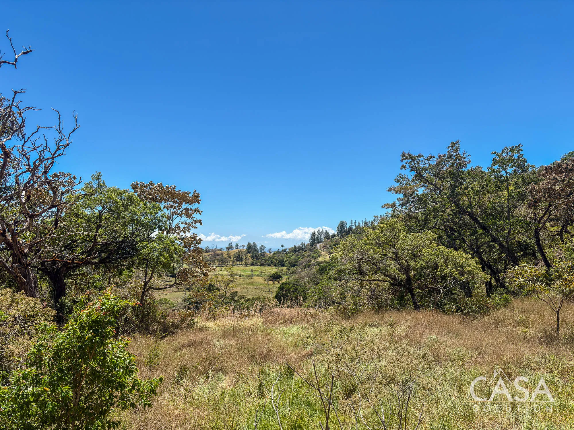 Mountain View Lot for Sale in Jaramillo Abajo – Via to Lucero, Boquete Panama photo 10