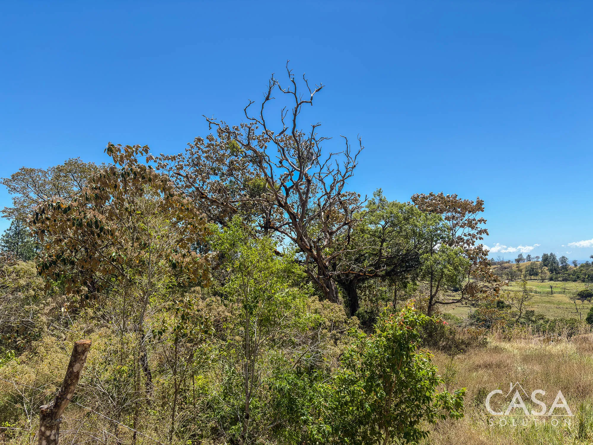 Mountain View Lot for Sale in Jaramillo Abajo – Via to Lucero, Boquete Panama photo 11