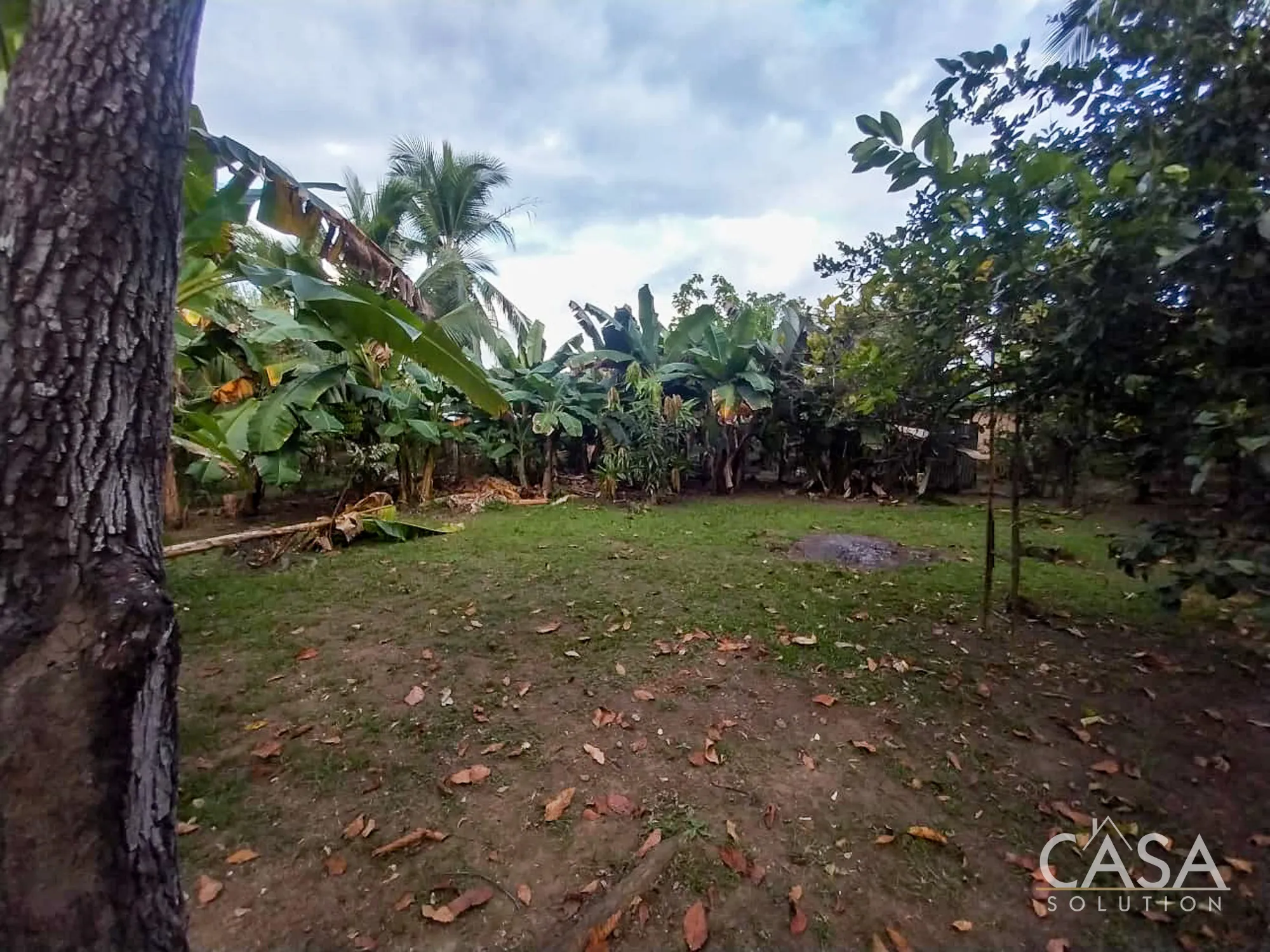 Price Reduction! House + Double Lot with Fruit Trees for Sale in Bellavista, El Palmar, Puerto Armuelles, Panama photo 7