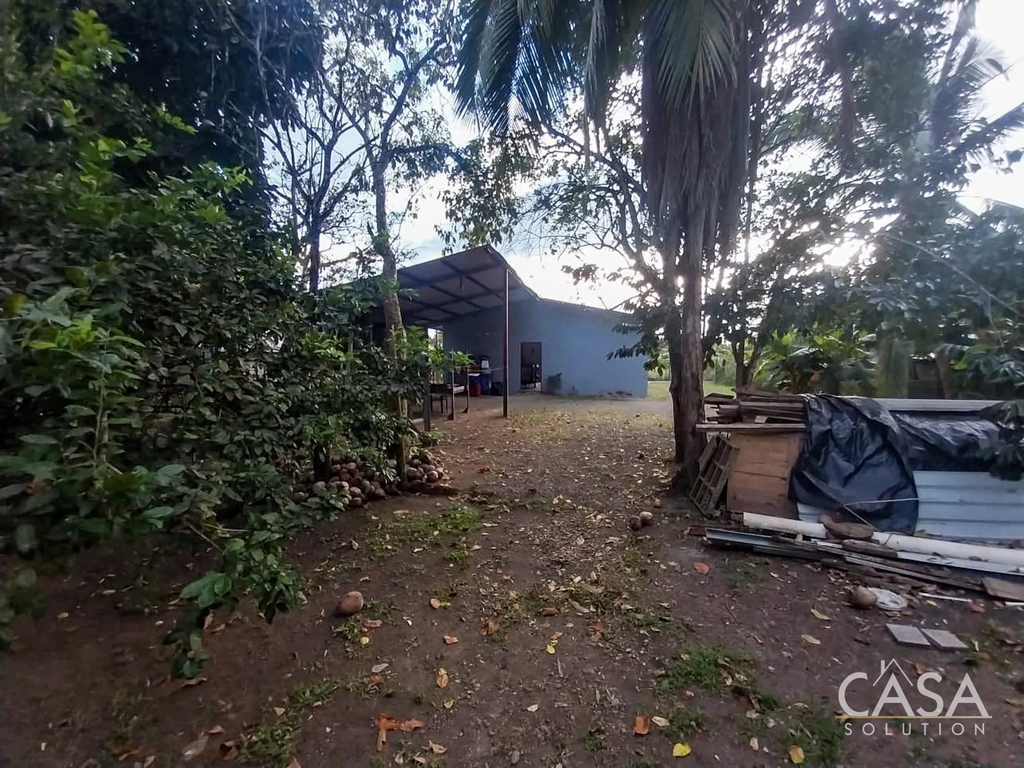 Price Reduction! House + Double Lot with Fruit Trees for Sale in Bellavista, El Palmar, Puerto Armuelles, Panama photo 9