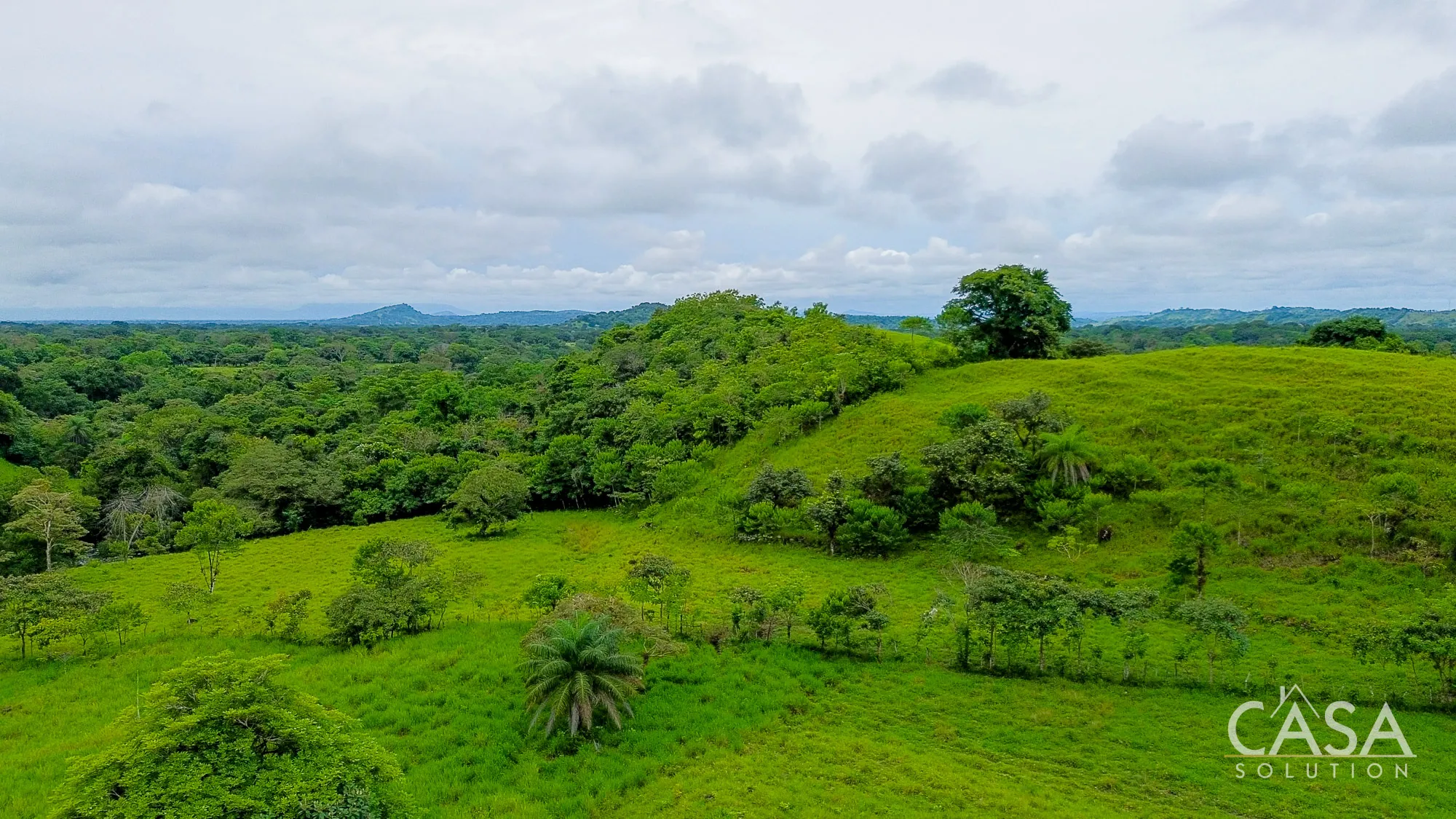 7 Hectares of Land for Sale in Guacá, David, Chiriquí - Open Green Areas, Mature Trees, and Countryside Views photo 11