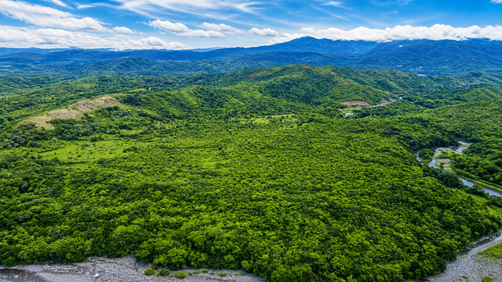 1-Hectare Lot for Sale in Bijagual, Cerrillo, Gualaca, Chiriquí