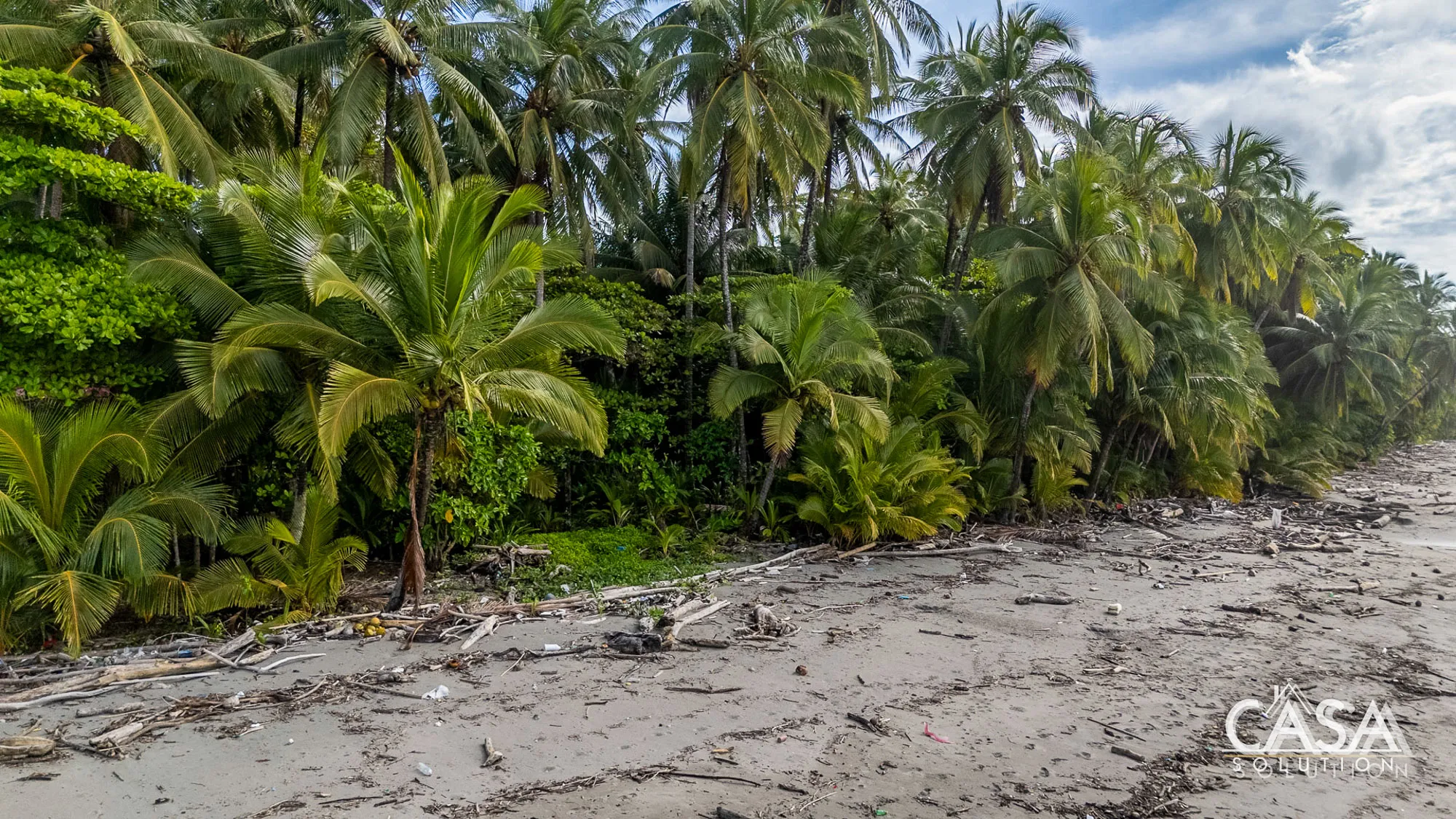 Beachfront Surf Property for Sale in Playa Blanca, Isla Cébaco, Panama | Eco-Tourism Potential photo 11