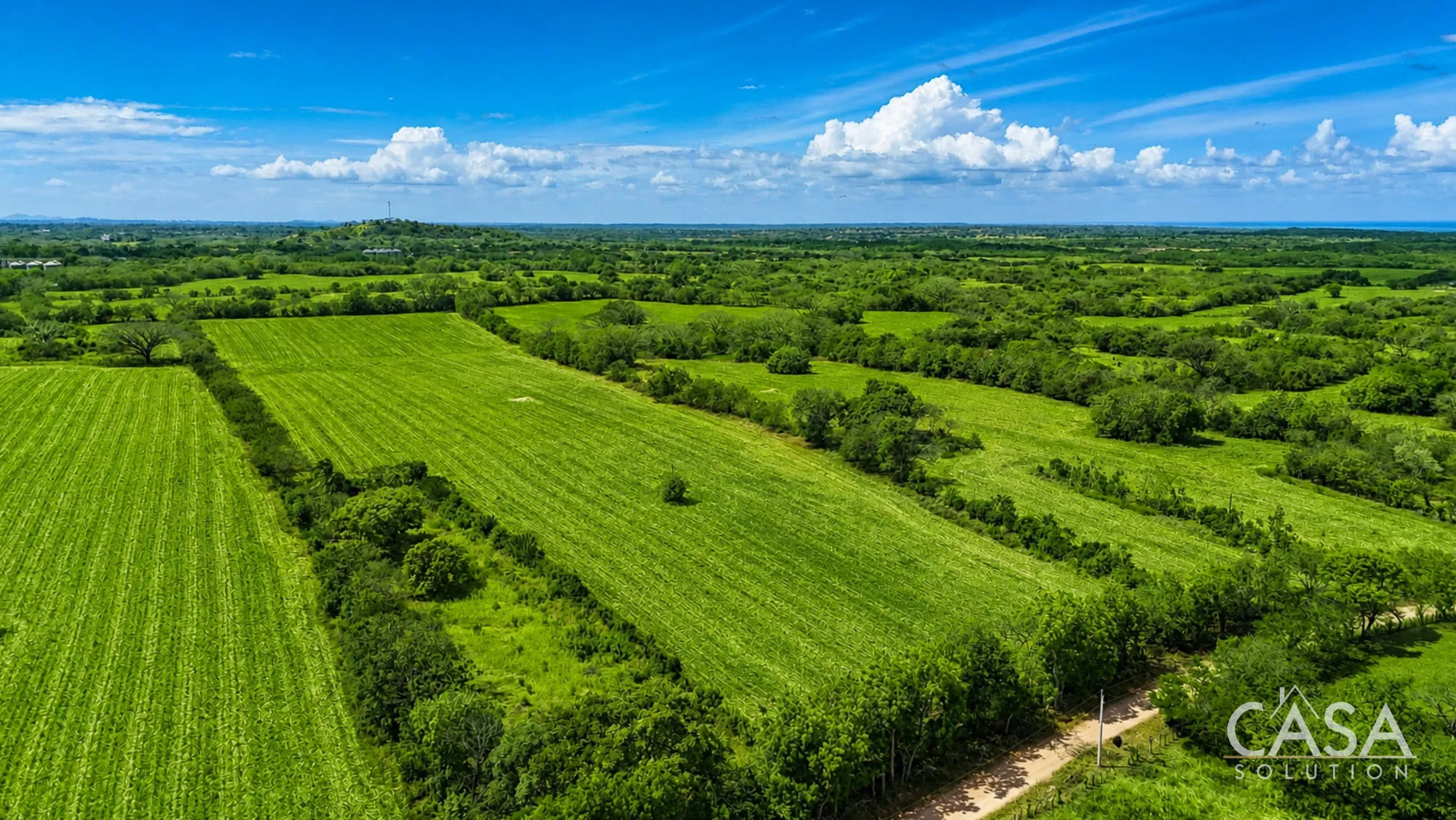 Combined 19.7-Hectare Farm Offering for Sale in Los Santos, Panama – Agricultural Land Near Las Tablas and Los Angeles