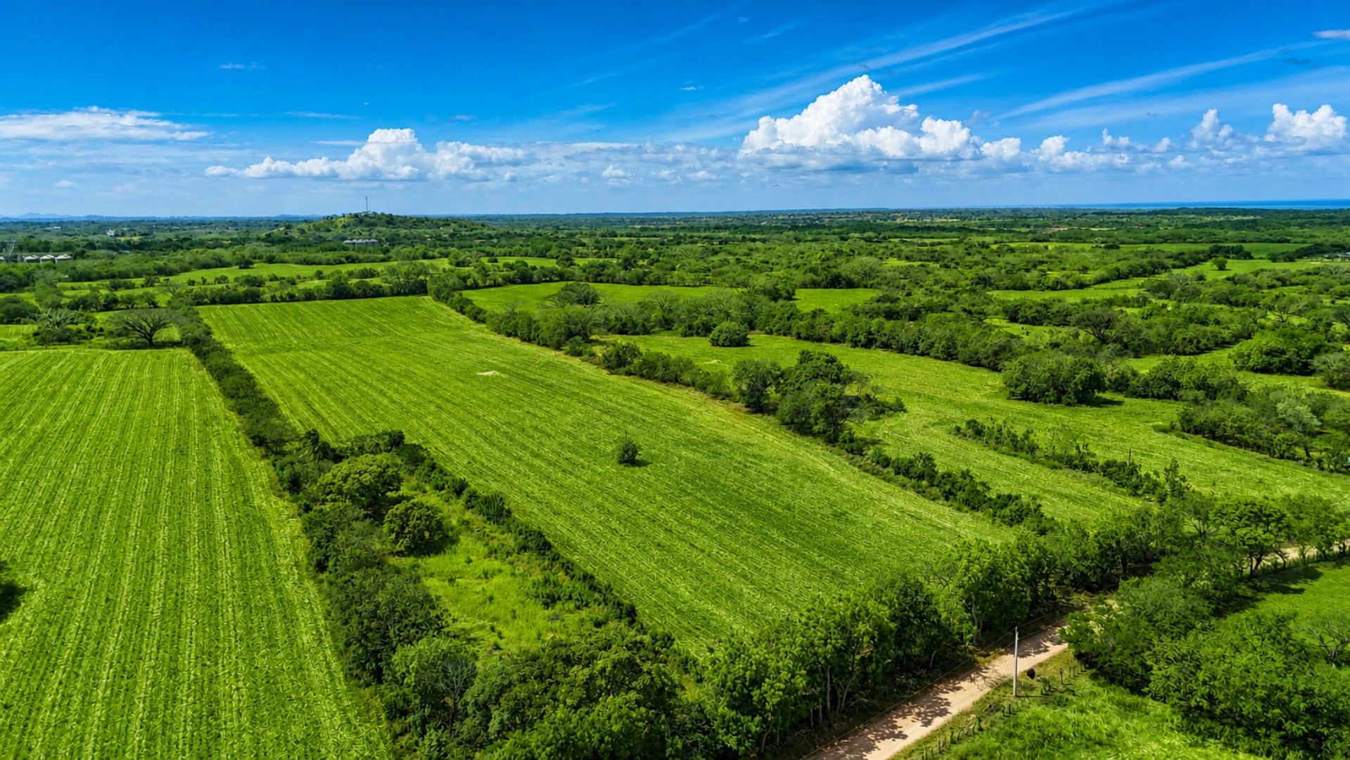 Combined 19.7-Hectare Farm Offering for Sale in Los Santos, Panama – Agricultural Land Near Las Tablas and Los Angeles photo 3