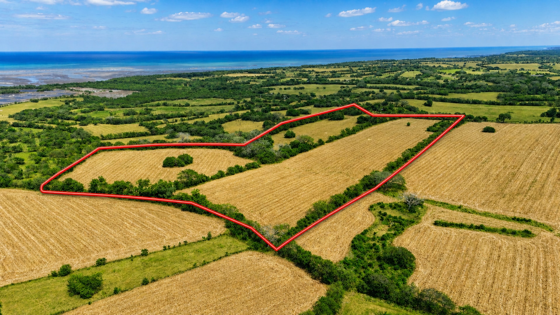 Combined 19.7-Hectare Farm Offering for Sale in Los Santos, Panama – Agricultural Land Near Las Tablas and Los Angeles photo 5