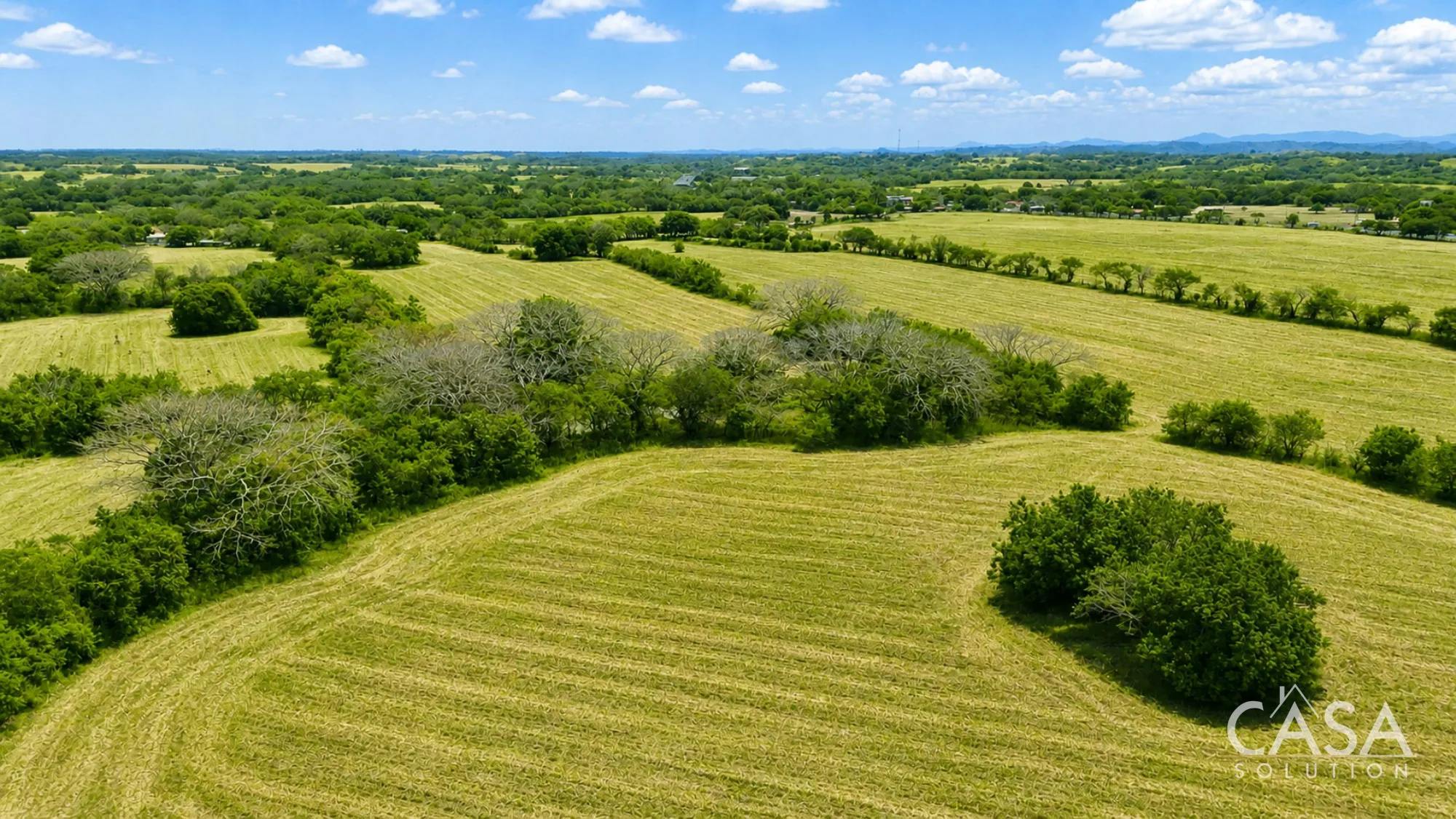 Combined 19.7-Hectare Farm Offering for Sale in Los Santos, Panama – Agricultural Land Near Las Tablas and Los Angeles photo 8
