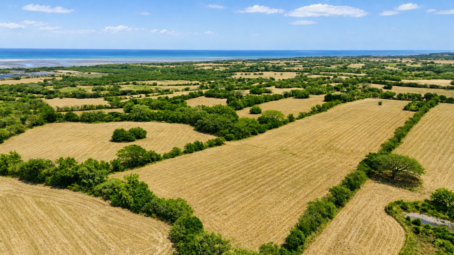 Combined 19.7-Hectare Farm Offering for Sale in Los Santos, Panama – Agricultural Land Near Las Tablas and Los Angeles photo 11