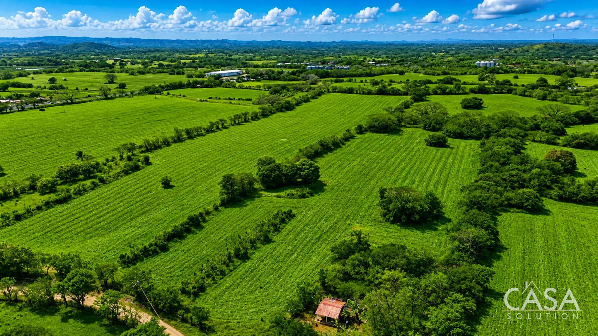 Combined 19.7-Hectare Farm Offering for Sale in Los Santos, Panama – Agricultural Land Near Las Tablas and Los Angeles photo 12