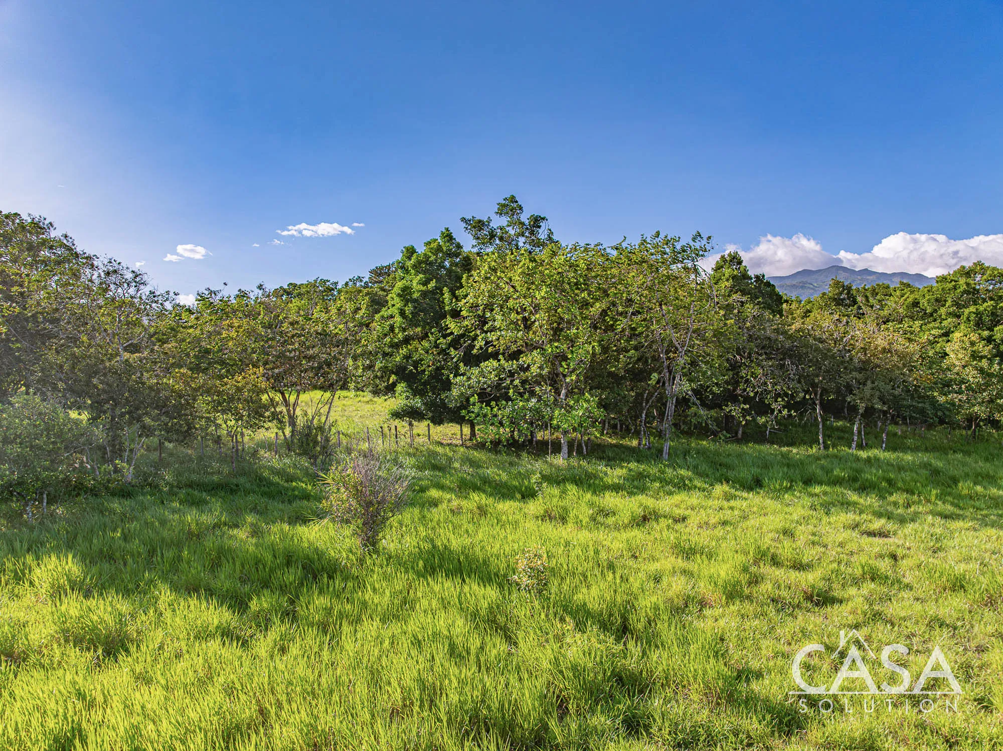 7.97 Acres of Land for Sale on the Road to Caldera, Boquete – Paved Access and Mahogany Trees
